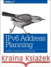 Ipv6 Address Planning: Designing an Address Plan for the Future Coffeen, Tom 9781491902769 John Wiley & Sons
