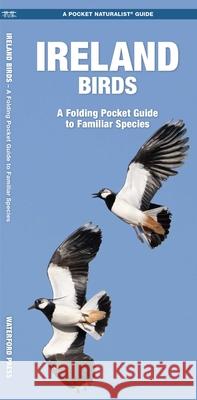 Ireland Birds, 2nd Ed Waterford Press 9781620053539 Waterford Press Ltd - książka