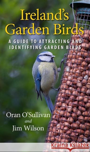 Ireland's Garden Birds: A Guide to Attracting and Identifying Garden Birds Jim Wilson 9781848893030 Gill - książka