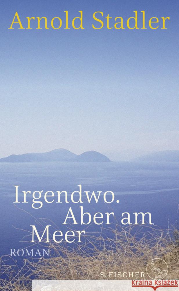 Irgendwo. Aber am Meer Stadler, Arnold 9783100751317 S. Fischer Verlag GmbH - książka