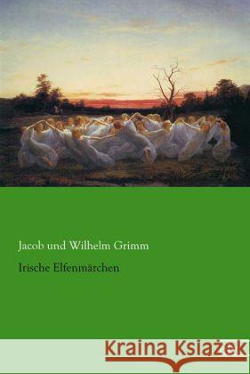 Irische Elfenmärchen Grimm, Jacob 9783862678891 Europäischer Literaturverlag - książka