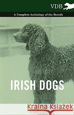 Irish Dogs - A Complete Anthology of the Breeds Various 9781445526201 Vintage Dog Books - książka