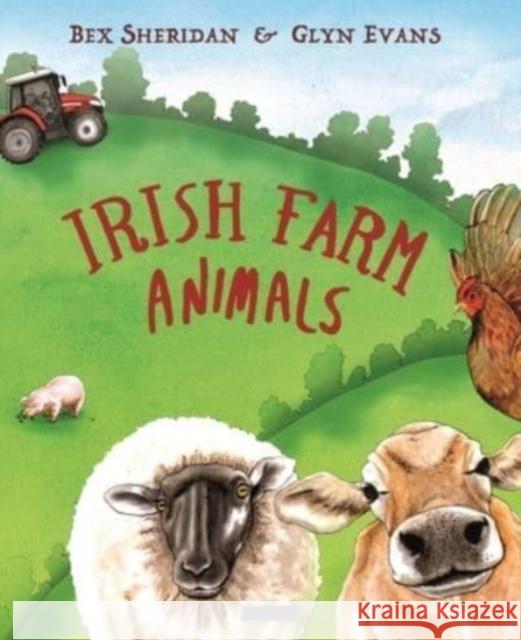 Irish Farm Animals Bex Sheridan 9781788494809 O'Brien Press Ltd - książka