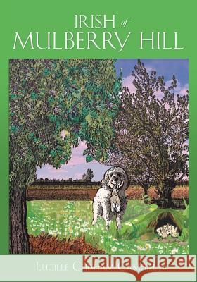 Irish of Mulberry Hill Lucille Chisham Campbell 9781545613757 Xulon Press - książka
