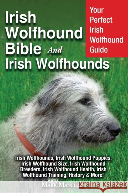 Irish Wolfhound Bible And Irish Wolfhounds: Your Perfect Irish Wolfhound Guide Irish Wolfhounds, Irish Wolfhound Puppies, Irish Wolfhound Size, Irish Mark Manfield 9781913154035 Dym Worldwide Publishers - książka