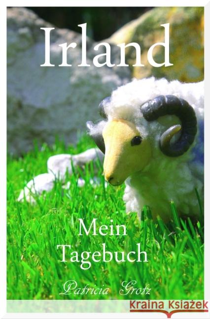 Irland - Mein Tagebuch Grotz, Patricia 9783737572613 epubli - książka