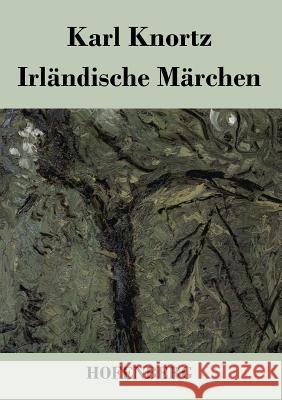 Irländische Märchen Karl Knortz 9783843026659 Hofenberg - książka