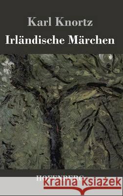 Irländische Märchen Karl Knortz 9783843026703 Hofenberg - książka