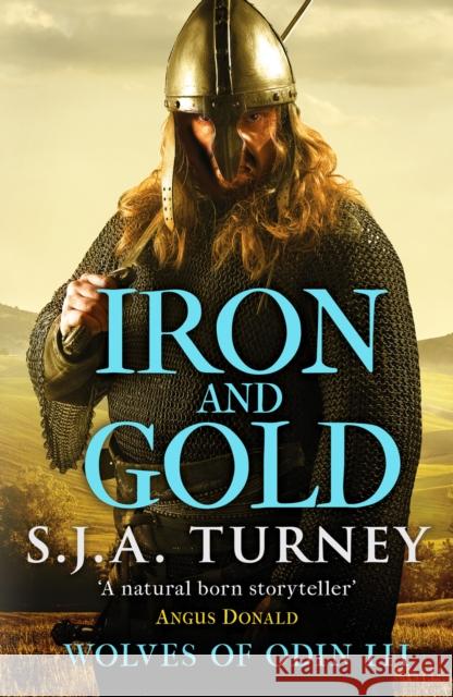 Iron and Gold S.J.A. Turney 9781800321328 Canelo - książka