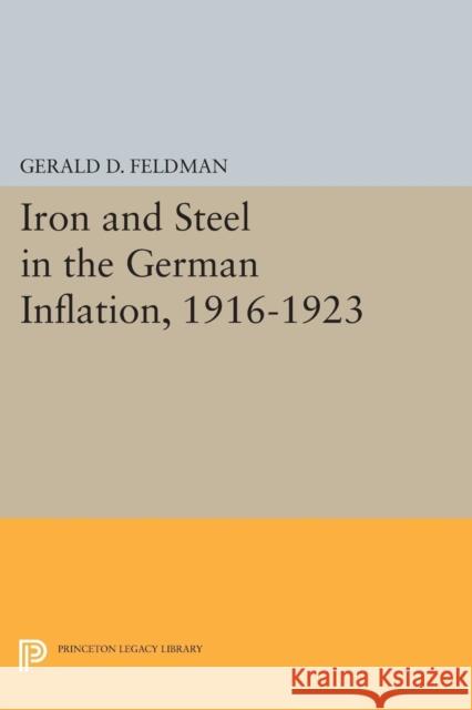 Iron and Steel in the German Inflation, 1916-1923 Gerald D. Feldman 9780691603940 Princeton University Press - książka