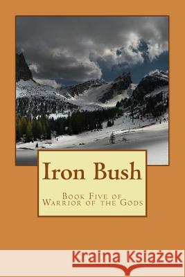 Iron Bush Art Lillo 9781484835470 Createspace - książka