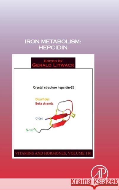 Iron Metabolism: Hepcidin: Volume 110 Litwack, Gerald 9780128178423 Academic Press - książka