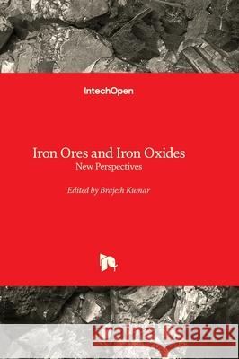 Iron Ores and Iron Oxides - New Perspectives Brajesh Kumar 9781837695447 Intechopen - książka