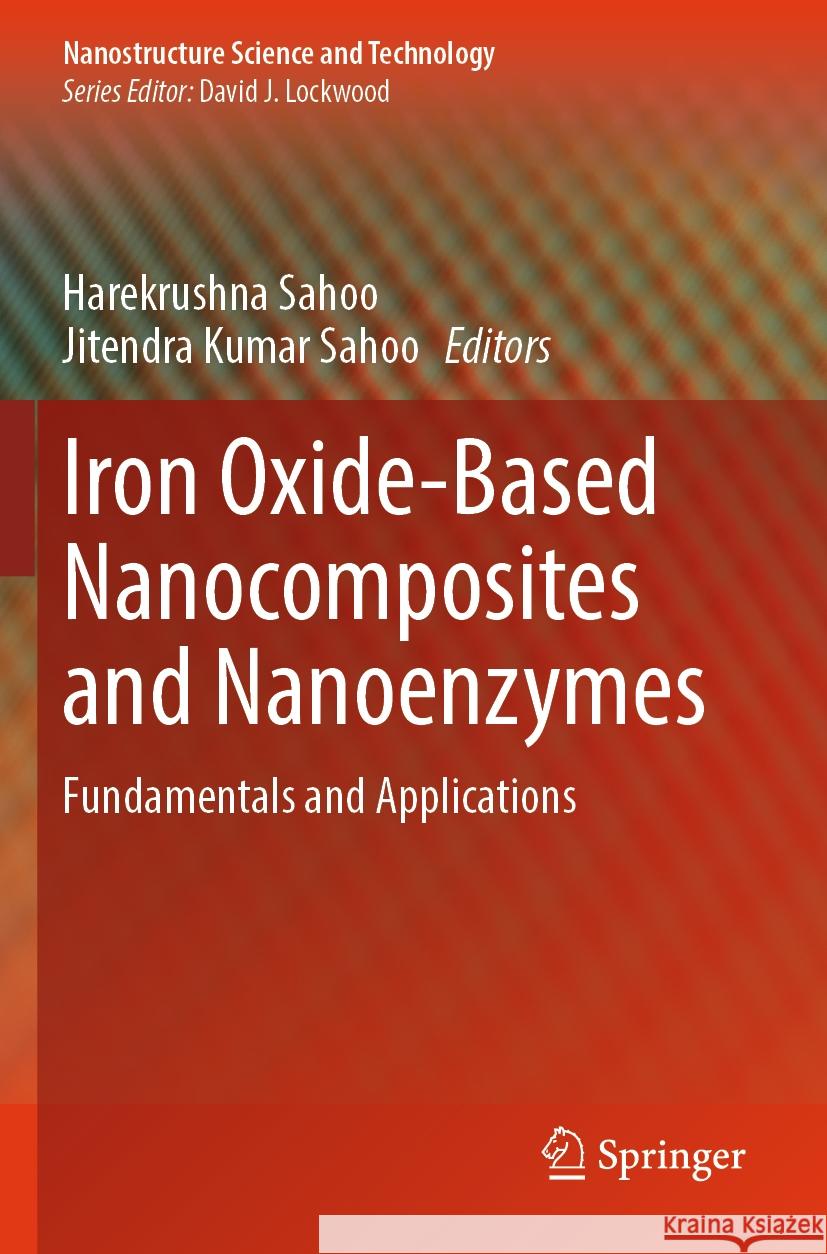 Iron Oxide-Based Nanocomposites and Nanoenzymes  9783031446016 Springer International Publishing - książka