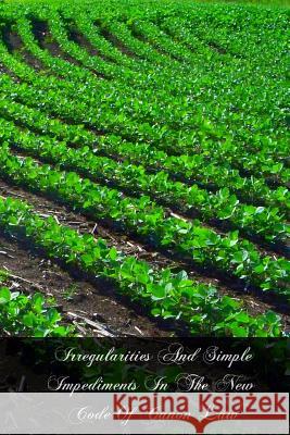 Irregularities And Simple Impediments In The New Code Of Canon Law Hickey Stbjcl, John J. 9781475226911 Createspace - książka