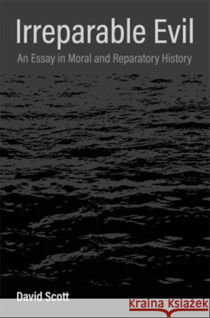 Irreparable Evil: An Essay in Moral and Reparatory History David Scott 9780231213042 Columbia University Press - książka