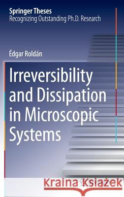 Irreversibility and Dissipation in Microscopic Systems Edgar Roldan 9783319070780 Springer - książka