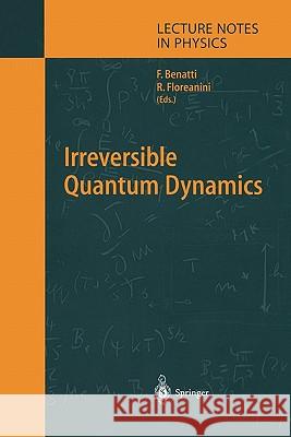 Irreversible Quantum Dynamics Fabio Benatti Roberto Floreanini 9783642072956 Not Avail - książka