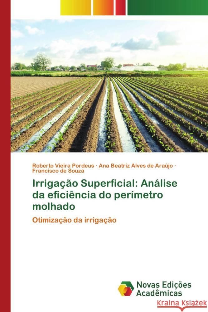 Irriga??o Superficial: An?lise da efici?ncia do per?metro molhado Roberto Vieira Pordeus Ana Beatriz Alve Francisco D 9786206761624 Novas Edicoes Academicas - książka
