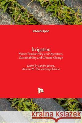 Irrigation: Water Productivity and Operation, Sustainability and Climate Change Sandra Ricart Antonio M. Rico Jorge Olcina 9781789846768 Intechopen - książka