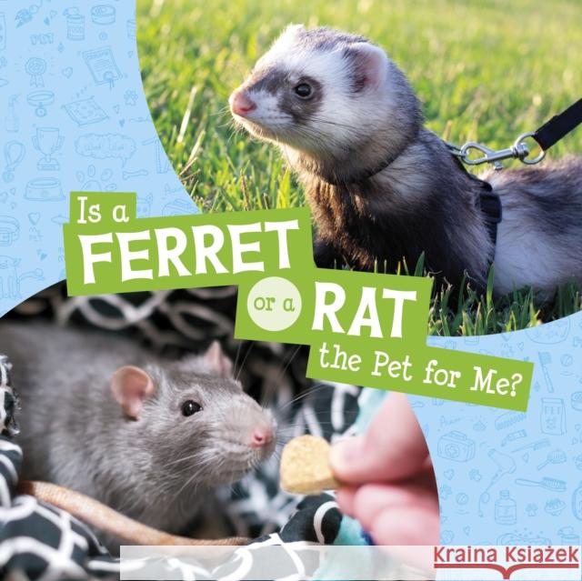 Is a Ferret or a Rat the Pet for Me? Cara Krenn 9781398258044 Capstone Global Library Ltd - książka