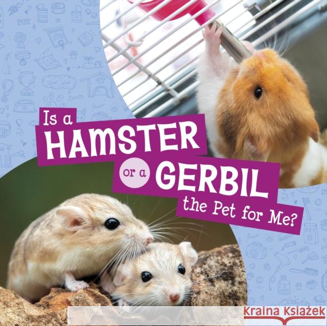 Is a Hamster or a Gerbil the Pet for Me? Mari Schuh 9781398258006 Capstone Global Library Ltd - książka