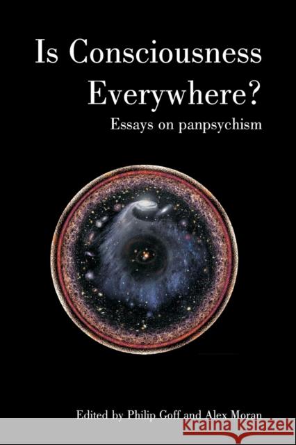 Is Consciousness Everywhere?: Essays on Panpsychism Philip Goff Alex Moran Annaka Harris 9781788360876 Imprint Academic - książka