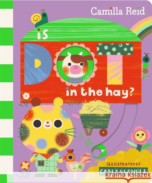 Is Dot in the Hay? Camilla Reid 9781035031733 Pan Macmillan - książka