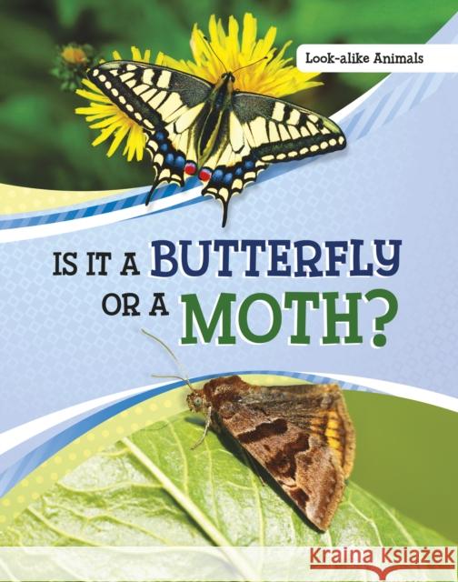 Is It a Butterfly or a Moth? Susan B. Katz 9781398225565 Capstone Global Library Ltd - książka