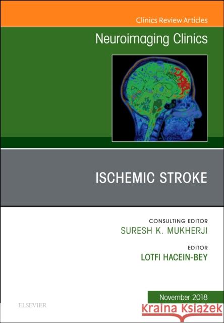 Ischemic Stroke, an Issue of Neuroimaging Clinics of North America: Volume 28-4 Hacein-Bey, Lotfi 9780323641579 Elsevier - książka