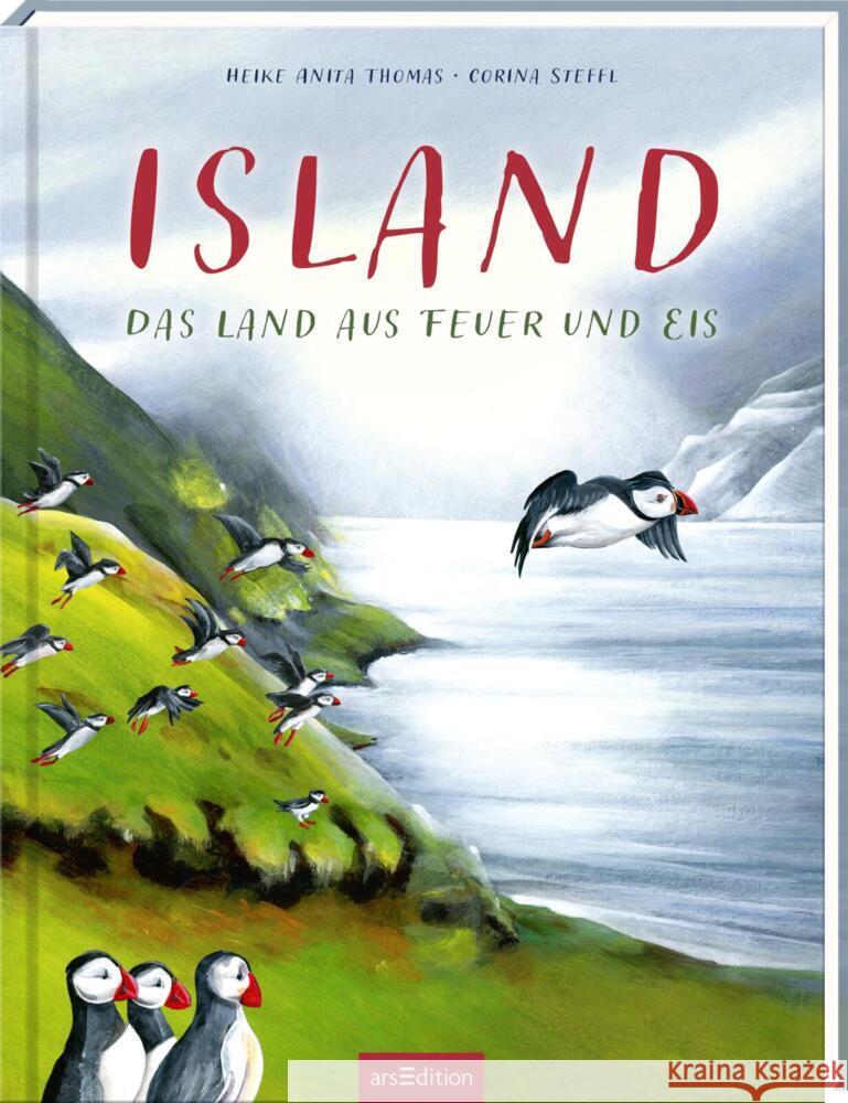 Island Steffl, Corina 9783845850689 ars edition - książka