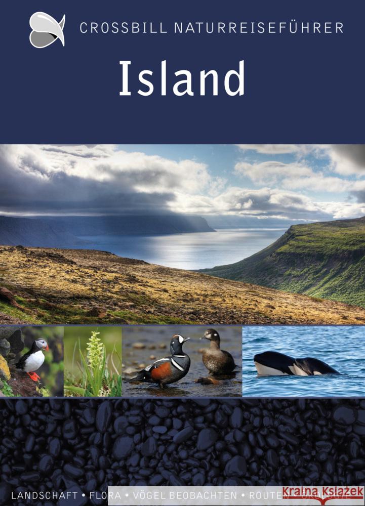 Island Hilbers, Dirk 9789491648281 Crossbill Guides Foundation - książka