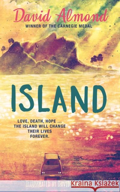 Island: A life-changing story, now brilliantly illustrated David Almond 9781444954203 HACHETTE CHILDREN - książka