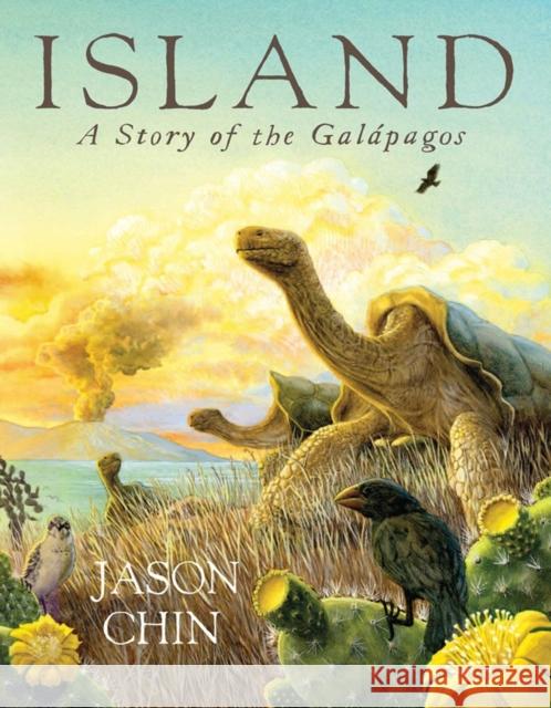 Island: A Story of the Galápagos Chin, Jason 9781250799937 Square Fish - książka