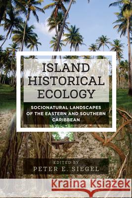 Island Historical Ecology: Socionatural Landscapes of the Eastern and Southern Caribbean Peter E. Siegel 9781785337635 Berghahn Books - książka