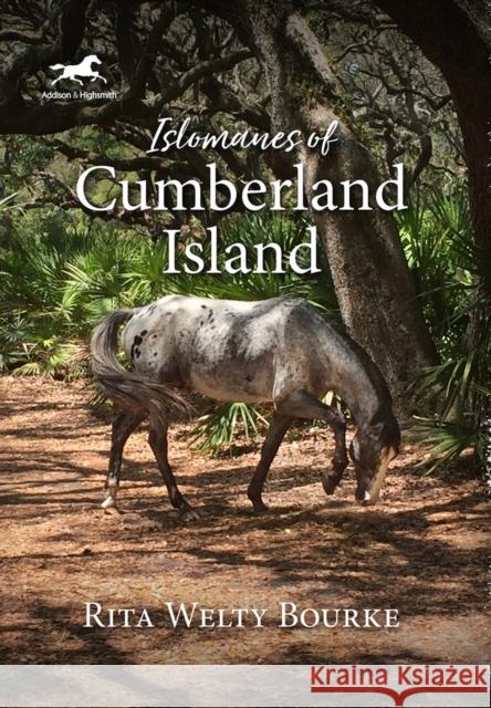 Islomanes of Cumberland Island Rita Welty Bourke 9781592112043 Histria LLC - książka