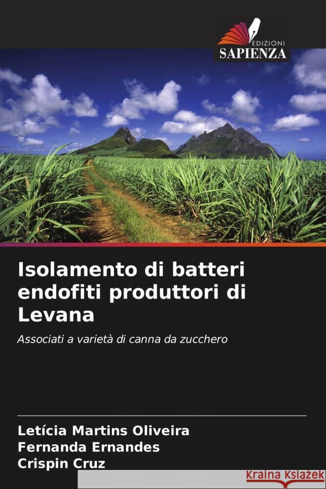 Isolamento di batteri endofiti produttori di Levana Let?cia Martin Fernanda Ernandes Crispin Cruz 9786207214983 Edizioni Sapienza - książka