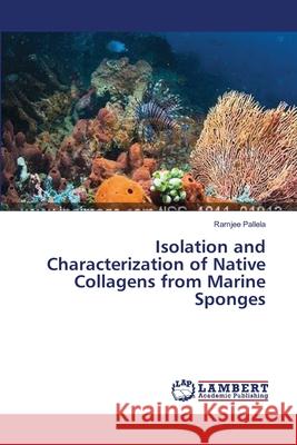 Isolation and Characterization of Native Collagens from Marine Sponges Pallela Ramjee 9783659486111 LAP Lambert Academic Publishing - książka