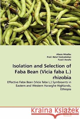 Isolation and Selection of Faba Bean (Vicia faba L.) rhizobia Abere Mnalku, Prof Heluf Gebrekidan, Fassil Assefa 9783639350548 VDM Verlag - książka