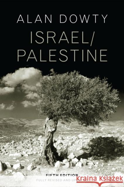 Israel / Palestine Dowty, Alan 9781509554812 Polity Press - książka