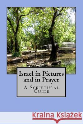 Israel in Pictures and in Prayer: A Scriptural Guide Ana Kerner 9781540704504 Createspace Independent Publishing Platform - książka