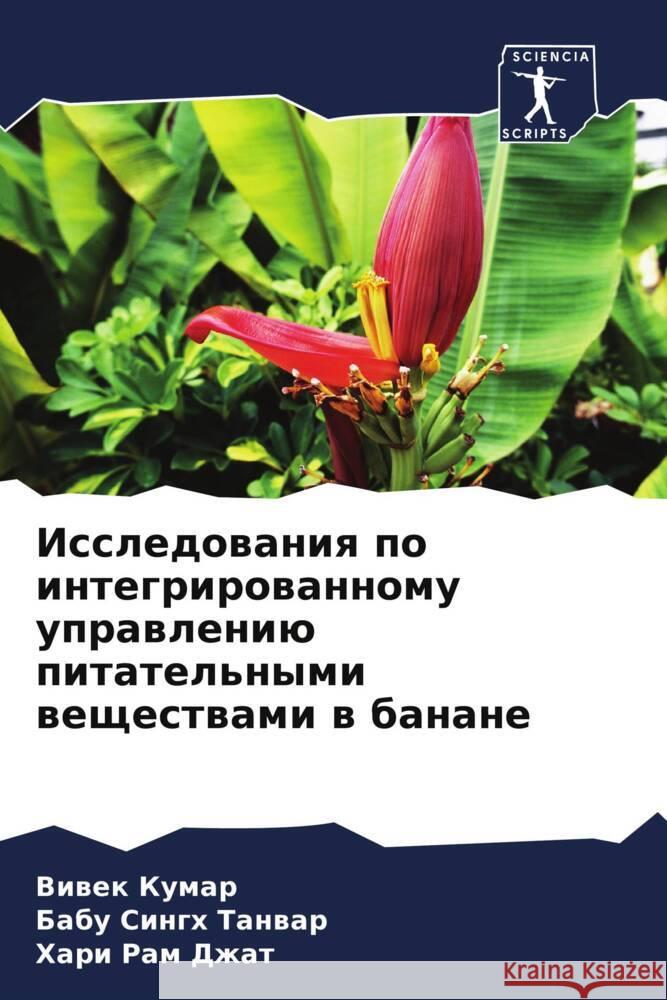 Issledowaniq po integrirowannomu uprawleniü pitatel'nymi weschestwami w banane Kumar, Viwek, Tanwar, Babu Singh, Dzhat, Hari Ram 9786206619475 Sciencia Scripts - książka