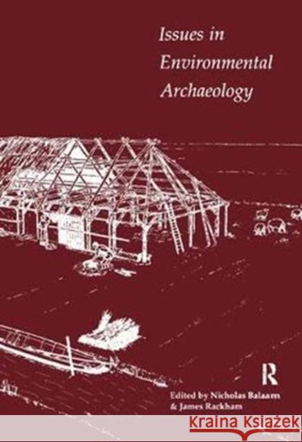 Issues in Environmental Archaeology: Perspectives on Its Archaeological and Public Role Balaam, Nicholas 9781138405080 Routledge - książka