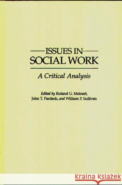 Issues in Social Work: A Critical Analysis Meinert, Roland 9780865692091 Auburn House Pub. Co. - książka