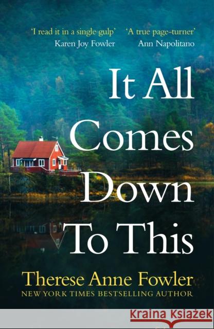 It All Comes Down To This Therese Anne Fowler 9781472285195 Headline Publishing Group - książka