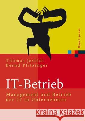It-Betrieb: Management Und Betrieb Der It in Unternehmen Pfitzinger, Bernd 9783642451928 Springer Vieweg - książka