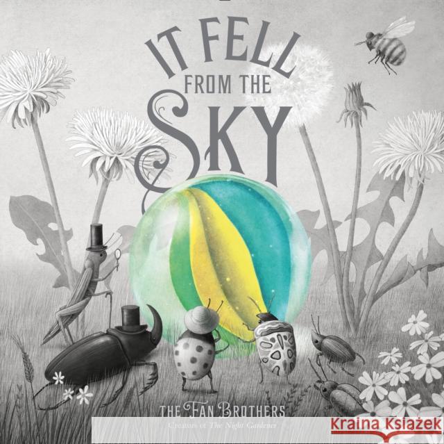 It Fell From The Sky Eric Fan 9780711270657 Quarto Publishing PLC - książka