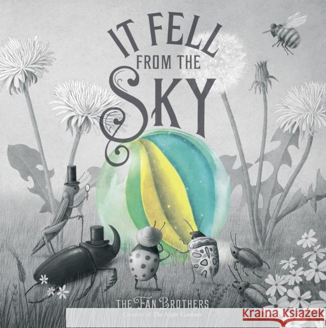 It Fell From The Sky Eric Fan 9780711270664 Quarto Publishing PLC - książka