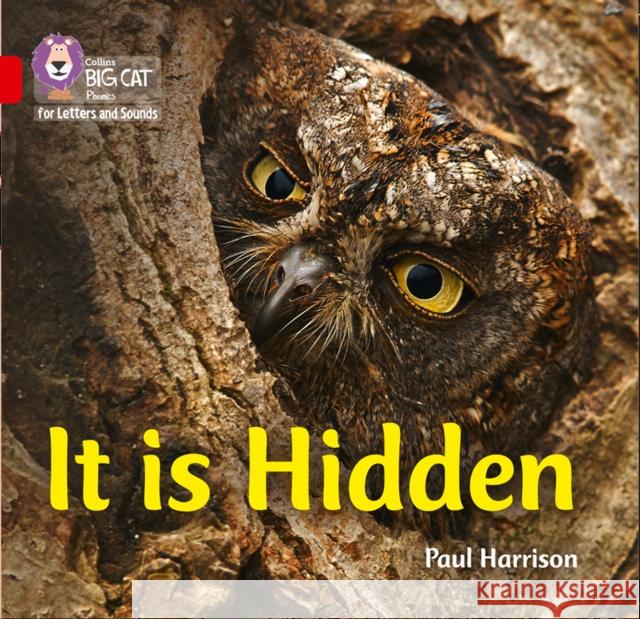 It is Hidden: Band 02b/Red B Paul Harrison 9780008251512 HarperCollins Publishers - książka