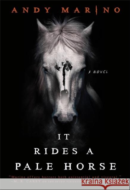 It Rides a Pale Horse Andy Marino 9780316629522 Redhook - książka
